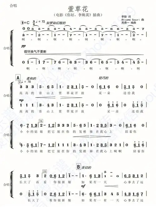 萱草花自编简谱