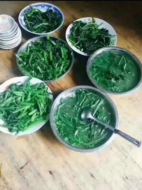 闺蜜做了一桌子的绿色蔬菜 健康啊~_蔬菜_阳光科创