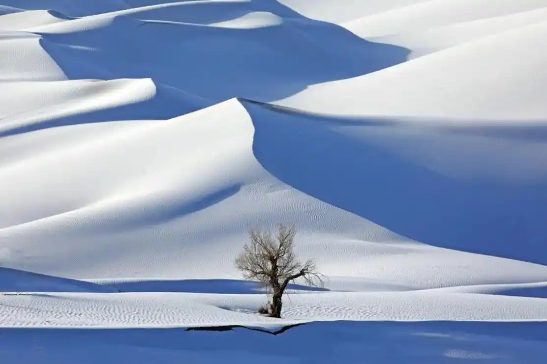 唯美意境 #沙漠 - 抖音