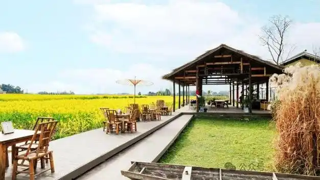 私享整片花海崇州又一网红打卡地出圈