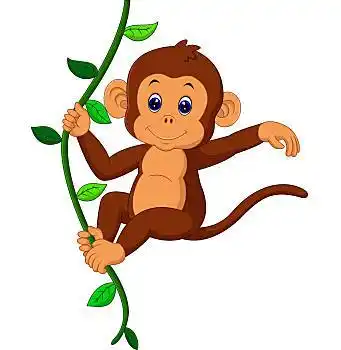 可爱,猴子,卡通