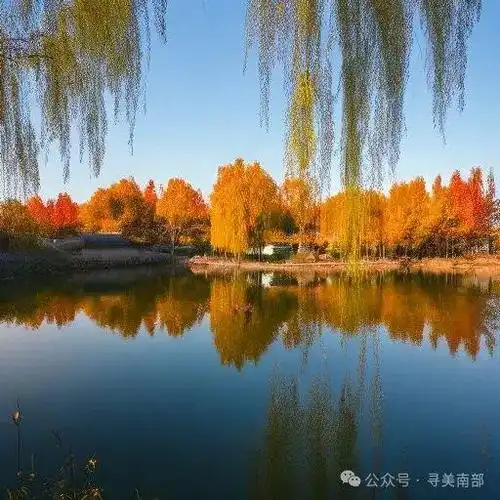 南部县神坝镇将发生两个大变化