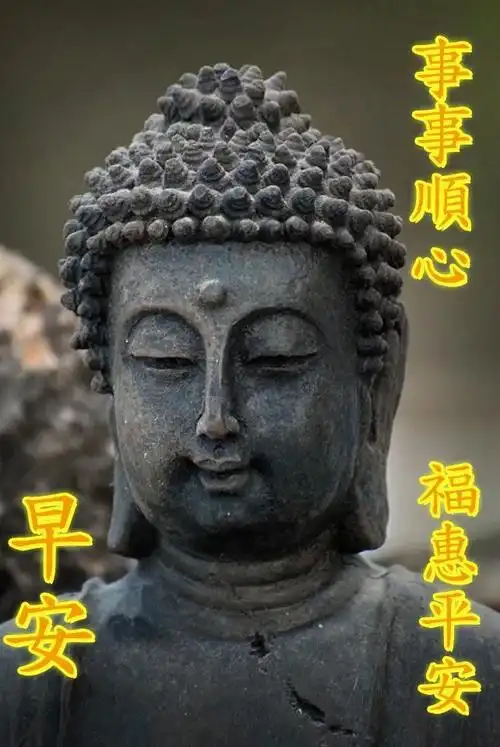 早安,我的朋友们,愿你心比天高,潇洒人生!