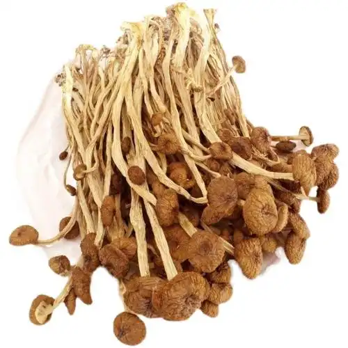 福建干茶树菇干货商用250g特级野生农家不开伞营养菌菇类干货炖汤