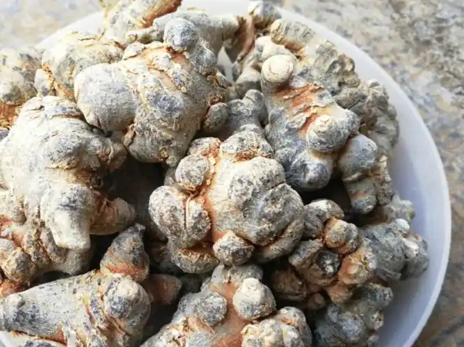 一般60头以上的三七就可以称为优质三七第二步,看三七的形状,选愿个