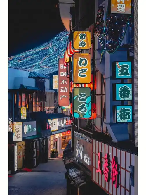 被台风刮到东京75无锡东亚风情街夜景大赏