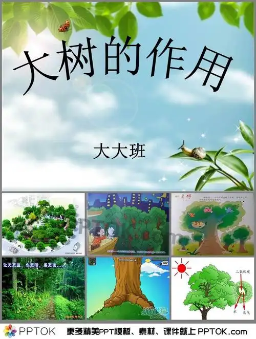《大树的作用》ppt课件下载,主要通过讨论使幼儿知道树木的多种用途