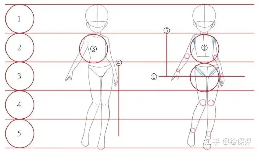 板绘教程漫画人物怎么画女生学人体比例画女性漫画人物