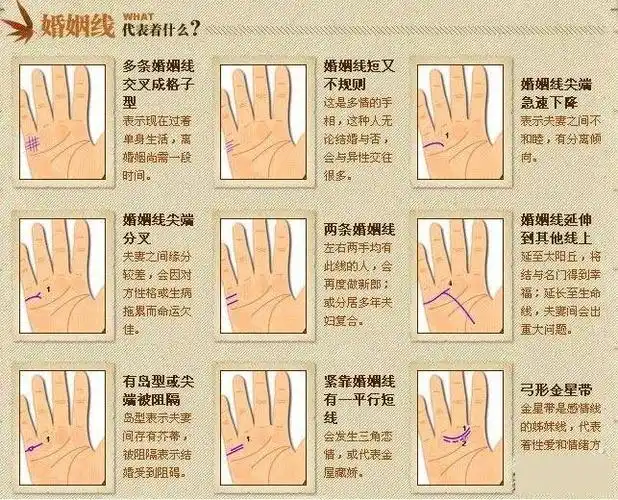 婚姻线长代表什么婚姻线很长