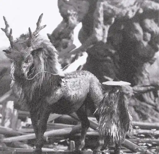 意外地捕捉到了传说中的麒麟,引发了人们对这种神秘生物真实性的讨论