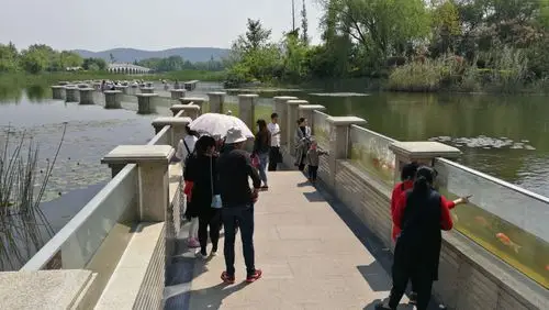 来到沉水廊道,穿行于沉在水体中的廊道,跟玻璃隔断那边的鱼儿亲密对望