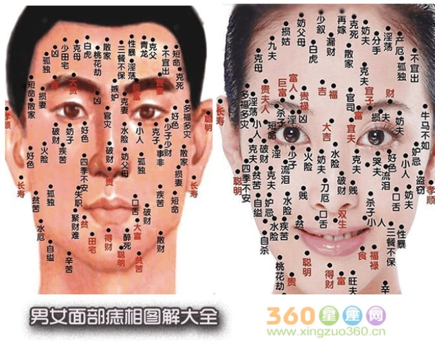 [vip专享]面部痣的位置与命运,男女面部痣相图解大全