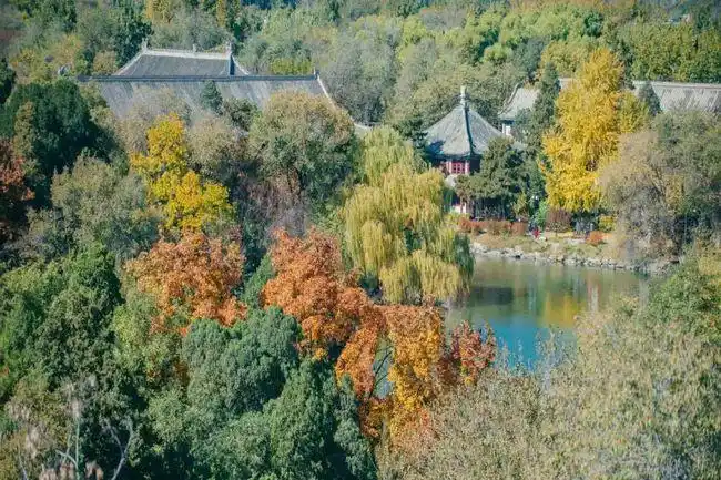 王世襄燕园景物略