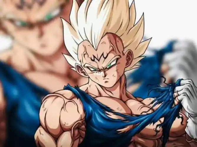 傲娇的王子贝吉塔