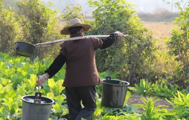 帮爷爷奶奶分担一下.我得快点学会挑水,奶奶都老了!