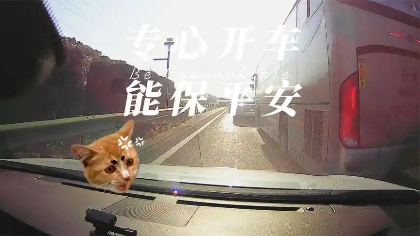 专心开车能保平安