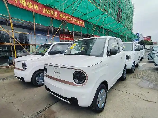 偶遇熊猫mini白色嘟嘟