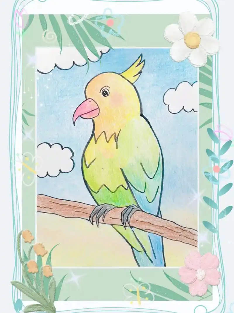 96简笔画教程|一起画鹦鹉00吧!