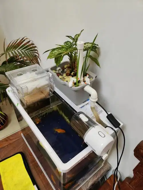 自制自改装的鱼缸过滤系统