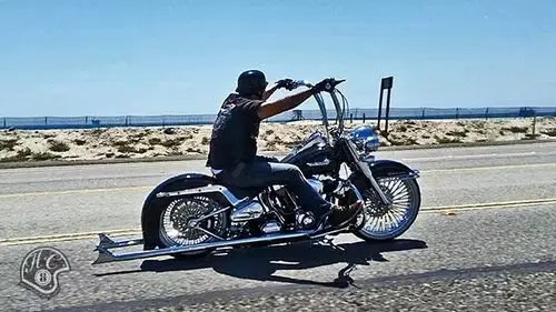 摩托猿猴把的本命年_摩托车之家_杂闻_摩信网