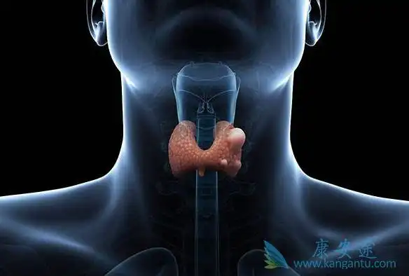 甲状腺癌的早期症状是什么?