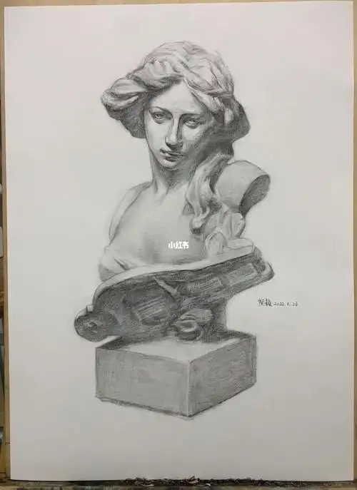 大琴女  #静物素描  #静物素描