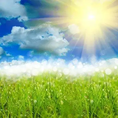 阳光寓意着积极向上,乐观开朗,活泼有朝气