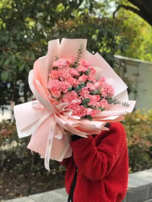 粉色康乃馨花束