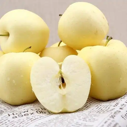 山东烟台金帅苹果 3斤(单果75mm起)产地直发 新鲜水果 多仓发货