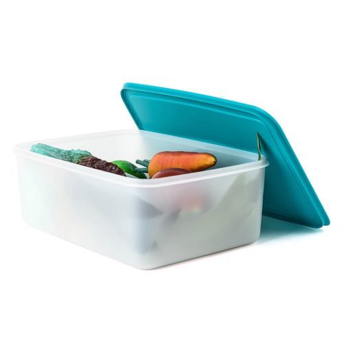 特百惠(tupperware)保鲜盒 新品5.