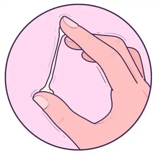 而到了排卵期时(一般是月经结束后 10～15 天),粘液会变得更加多和