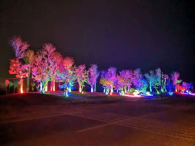 2019年春节滋水广场亮化纪实