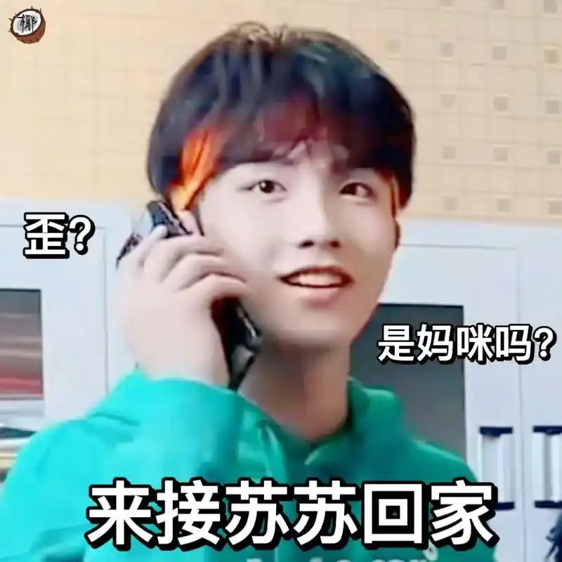 《n件事》二十二表情包(苏新皓篇)好想要小狗陪我聊天,社牛聚 - 抖音