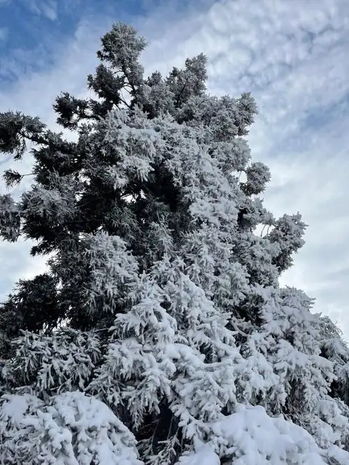 79宁波奉化商量岗滑雪场92去的早人比较少 下午开始多起来了 建议