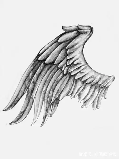 铅笔手绘翅膀,每一笔都是梦想,你喜欢哪个?