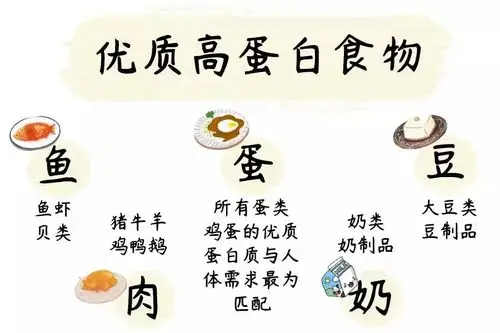 别吃蛋白粉了来道高蛋白食谱补一补