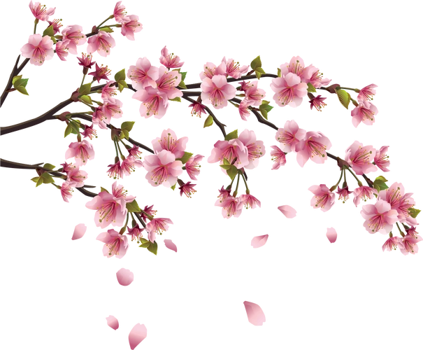 素材编号:130002 素材分类:其他 颜色模式:rgb