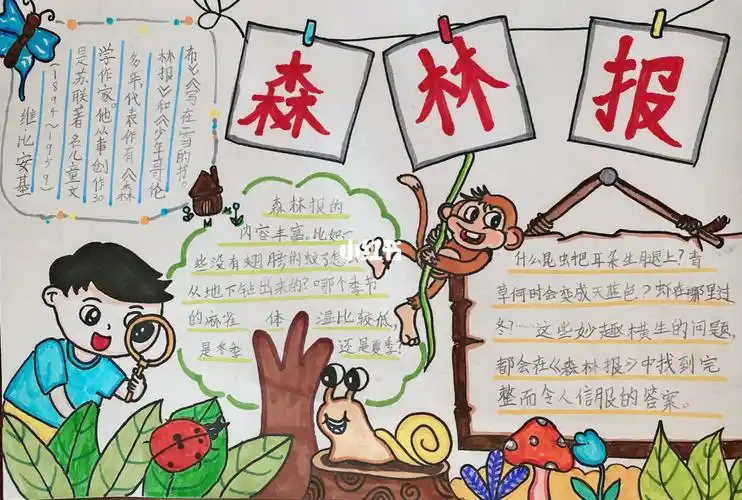 森林报手抄报