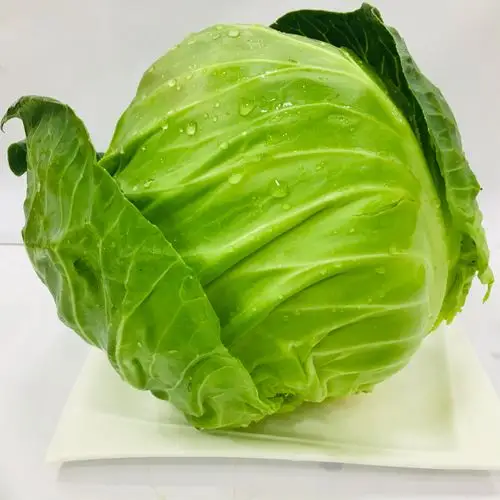 新鲜蔬菜同城配送广东本地青菜生鲜农家蔬菜叶菜大白菜混合装5斤