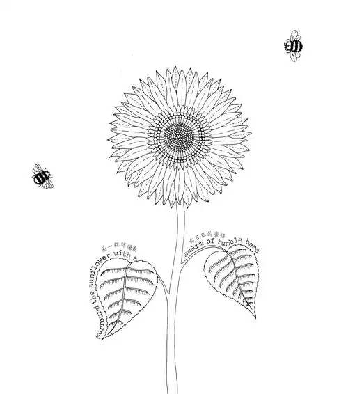 秘密花园空白稿