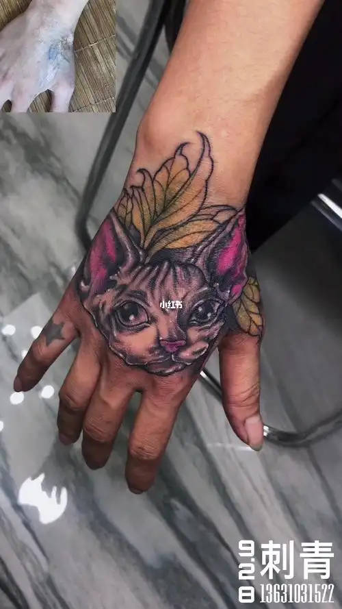 比鲁斯猫_9.28刺青纹身攻略_纹身_疤痕_潮州_美妆_彩妆