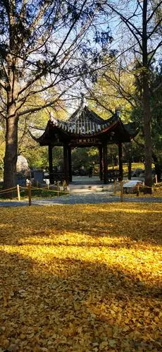 陶然亭公园的深秋