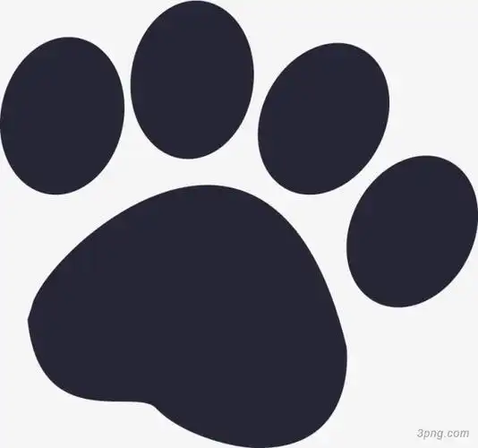 狗狗爪印png素材透明免抠图片动植人物