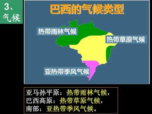 课件(人教版七年级上) 3, 气候 亚马孙平原:热带雨林气候, 巴西
