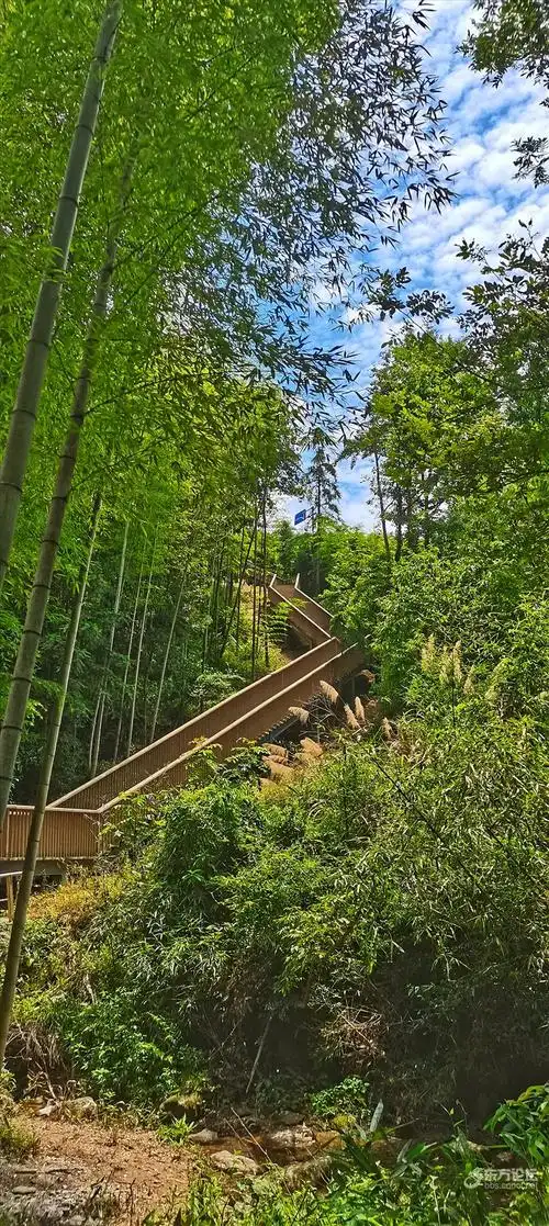 龙观中坡山森林公园- 东论 东方热线·东方论坛-宁波论坛——家长里短