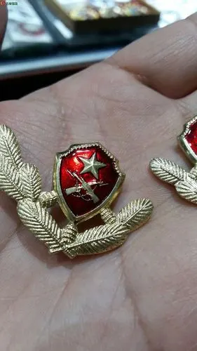 武警领花15一副,可提供多套