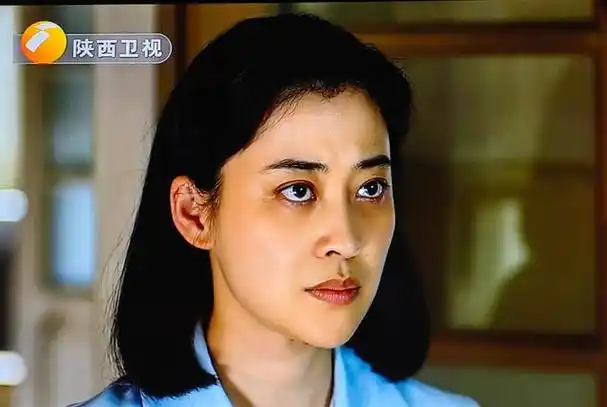 自从演了《父母爱情》,梅婷的人生就开了挂