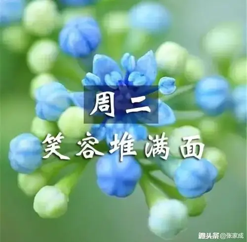 周二早安愉快!
