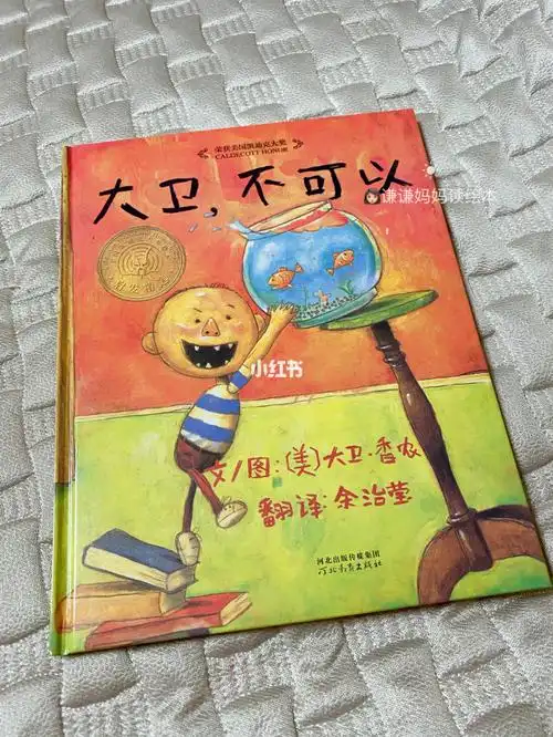 绘本分享大卫系列大卫不可以