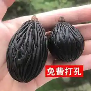 千丝菩提◆狐尾椰挂饰吊坠手串手把件